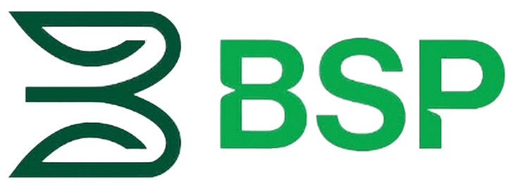 BSP Pay